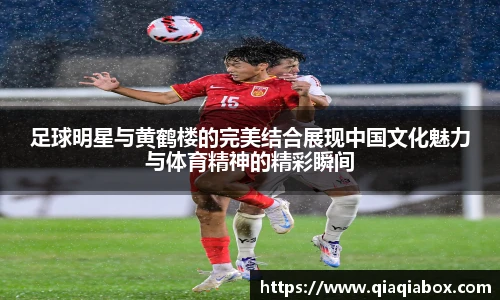 星空综合体育官网